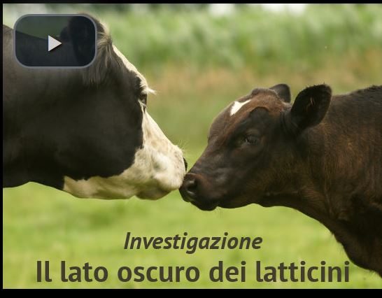 si puo fare l amore il giorno prima del ciclo