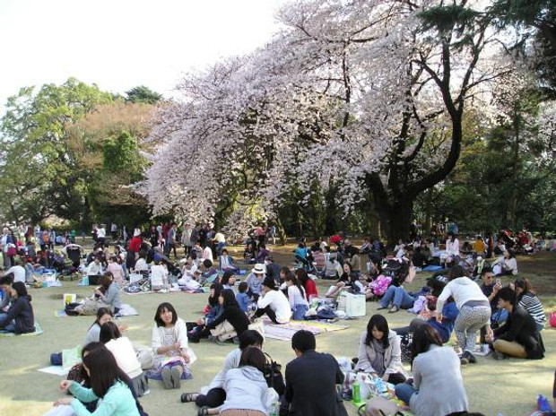 dove incontrare ragazze a tokyo