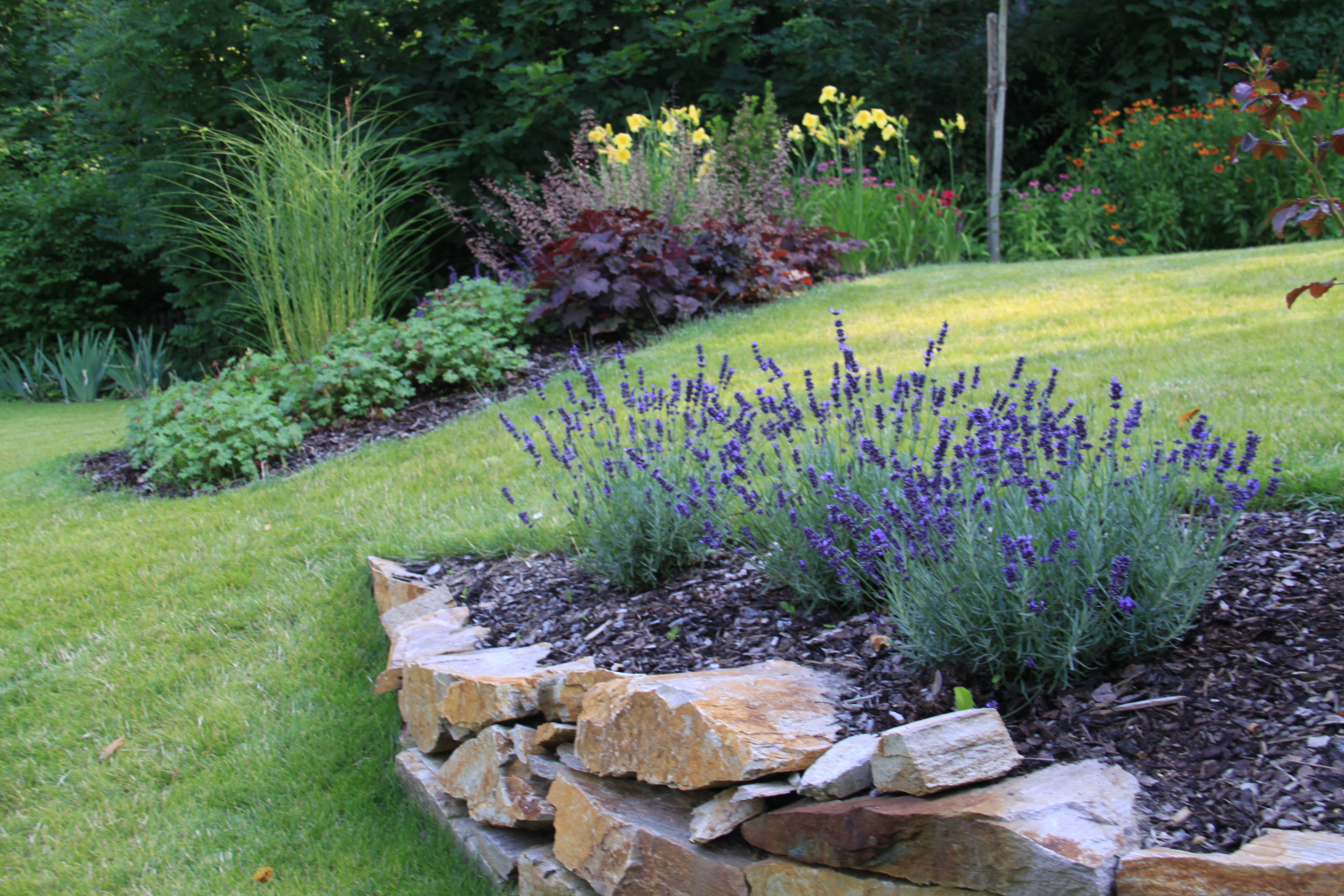 Mediterraner Garten Anlegen