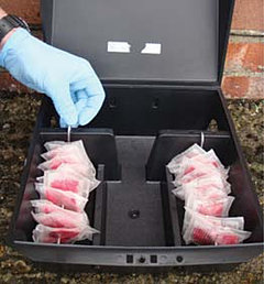 Brigand Soft Bait
