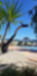 20190309_142356_1552140061151_edited.jpg