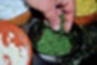 Parsley, Ante's Forgotten Cuttlefish Recipe, Konoba Lukin, Brač, Cr