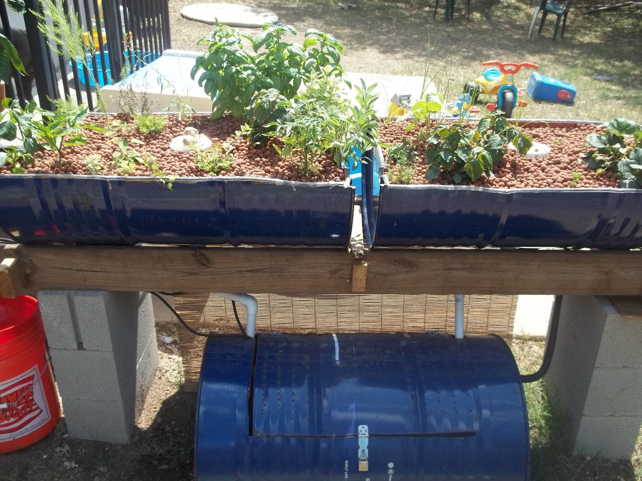 Freebird Aquaponics in Central Texas | Wix.com