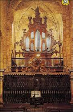 organo Santillana.jpeg