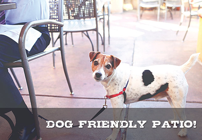 DiMille's Italian Restaurant & Catering in San Diego