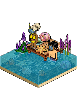 Risultati immagini per topstory estate habbo