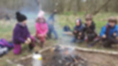 Campfire in the wild.
