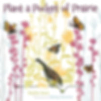 pocket-of-prairie.jpg