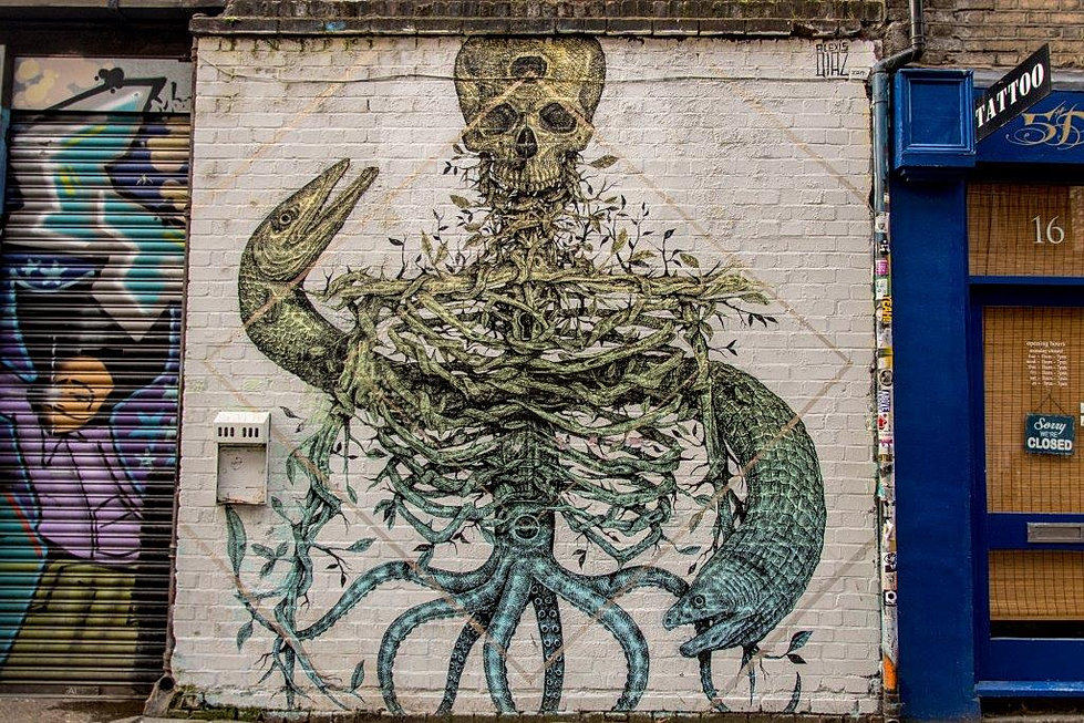 Image result for alexi diaz street art