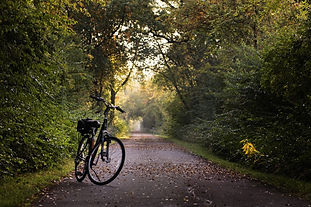 bike-2769021_1920.jpg