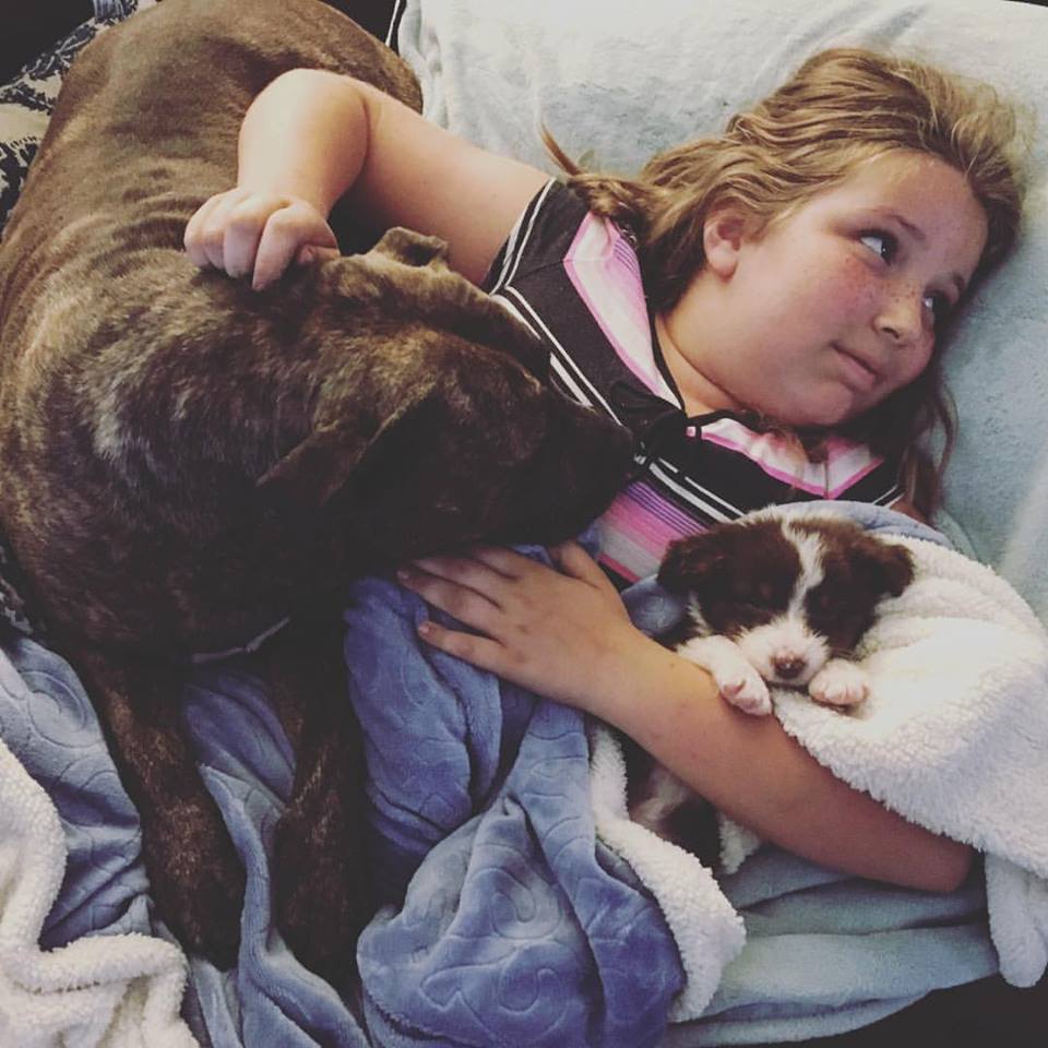 Safe in Austin Duchess The Dog