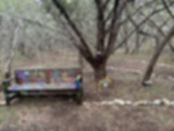 IMG_4247.jpeg