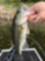 S__30982160.jpg