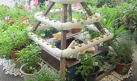 aquaponic malaysia