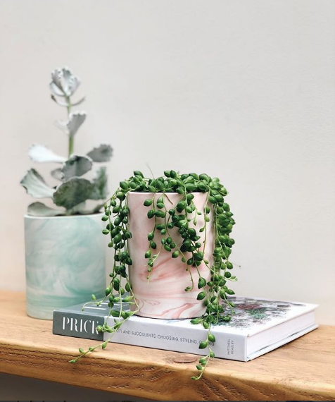 <div>'The bucket list of a maker'- with Katie Robbins @ceramicmagpie</div>