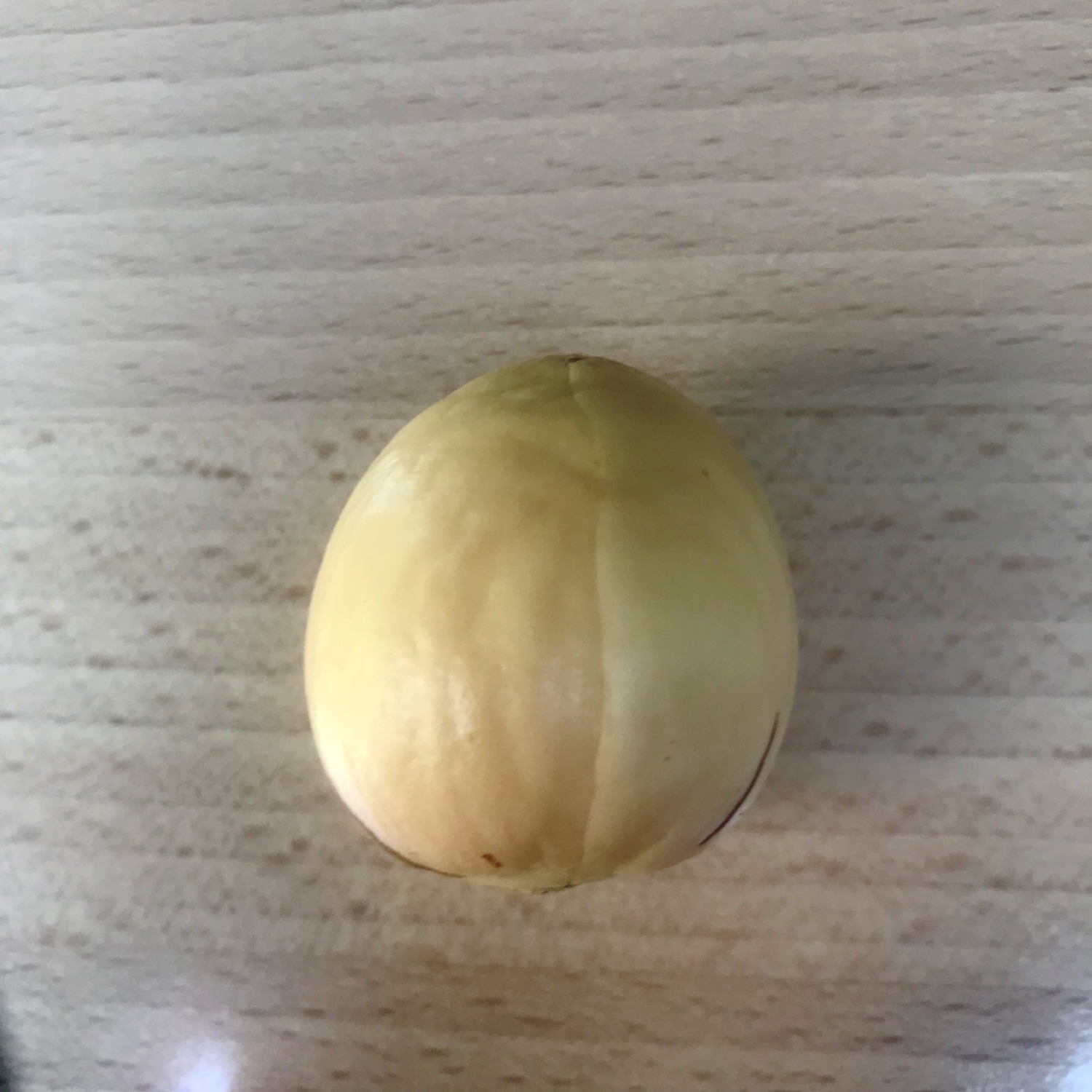 How to grow your own avocado tree at home