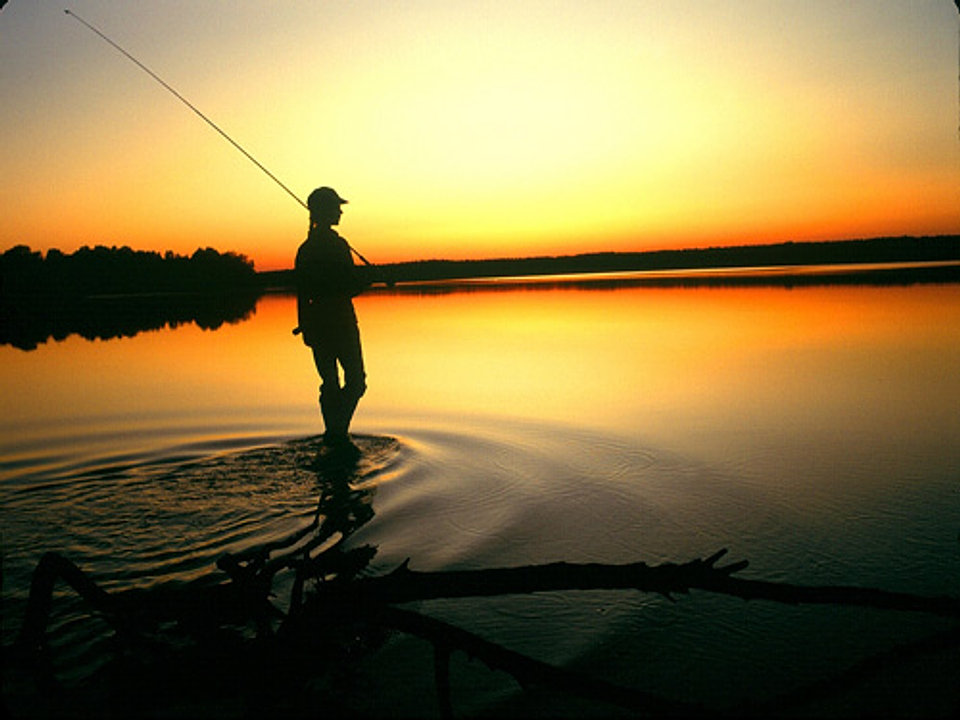 Monroeville Hunting And Fishing Expo