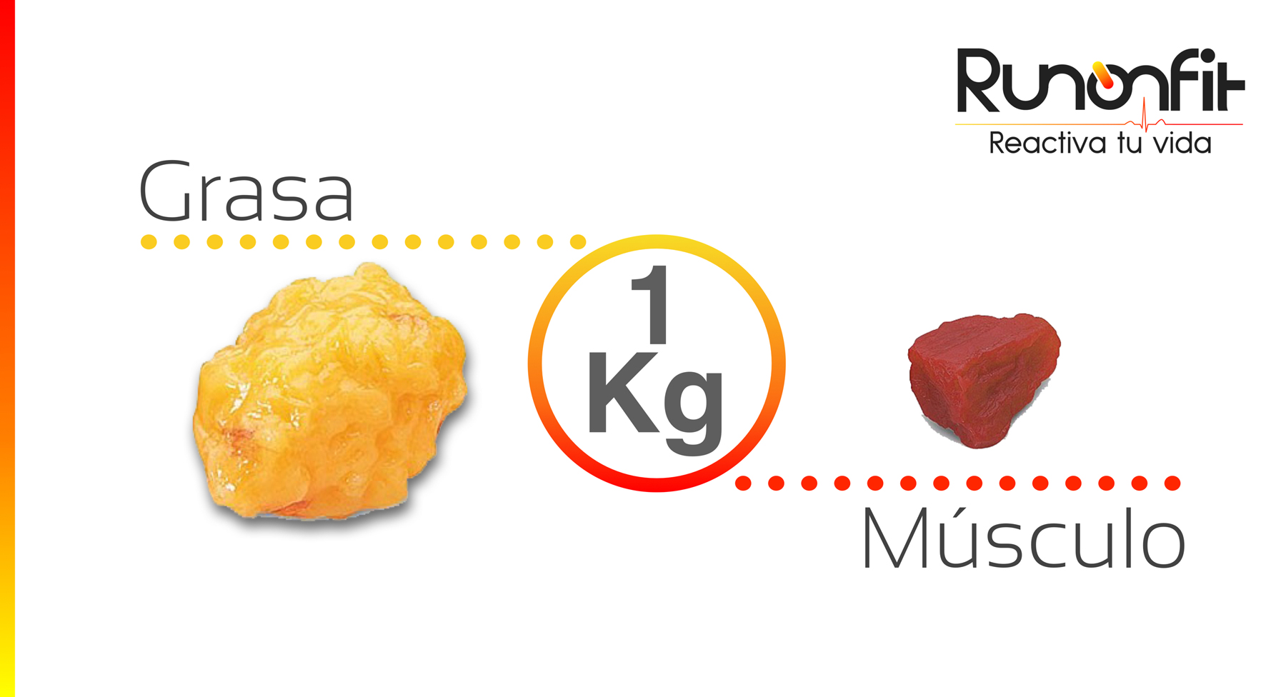 Todos los dieta para bajar de peso en una semana facil y economica usted aprende cmo dieta para bajar de peso en una semana facil y economica