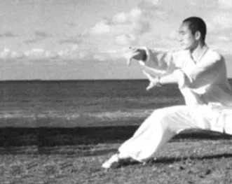bagua zhang resources baguazhang form