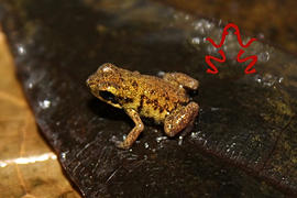[Image: 4bf055_051a51181534482e8d709f24c03cabe0....00_jpg_srz]