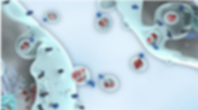 dyrnamixDiscoveryEngine_pantryDish.png