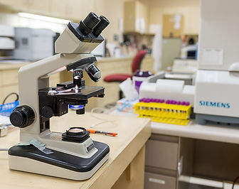 WEB - MICROSCOPE.jpg