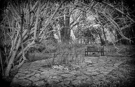 NewYearDay21_BW_9 copy.jpg