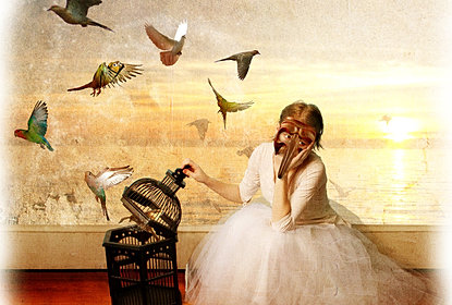 Birds In Kate Chopins The Awakening