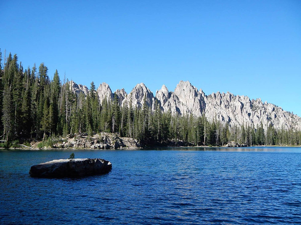 Canon golden eagle rewards program