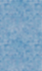 CGT-Mosaic (French Tile) Halfmoon.jpg