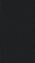 Black Granite Floor.png