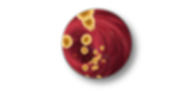 fat_blood cirkel.png
