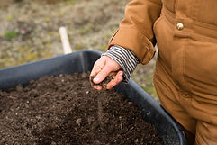Image of a person holding soil in their hands.