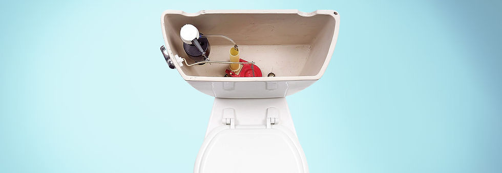 toilet.jpg