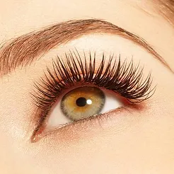 Chicago Lash Extension Certification