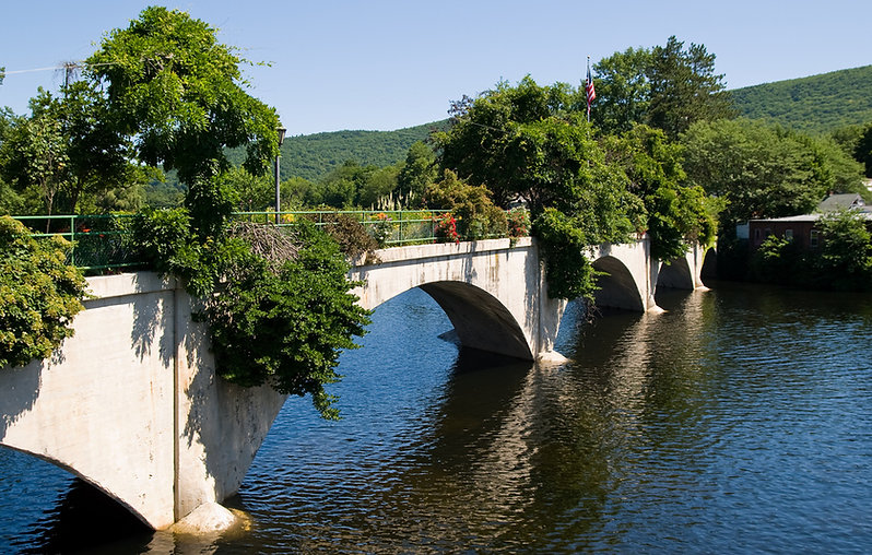 The Bridge of Flowers