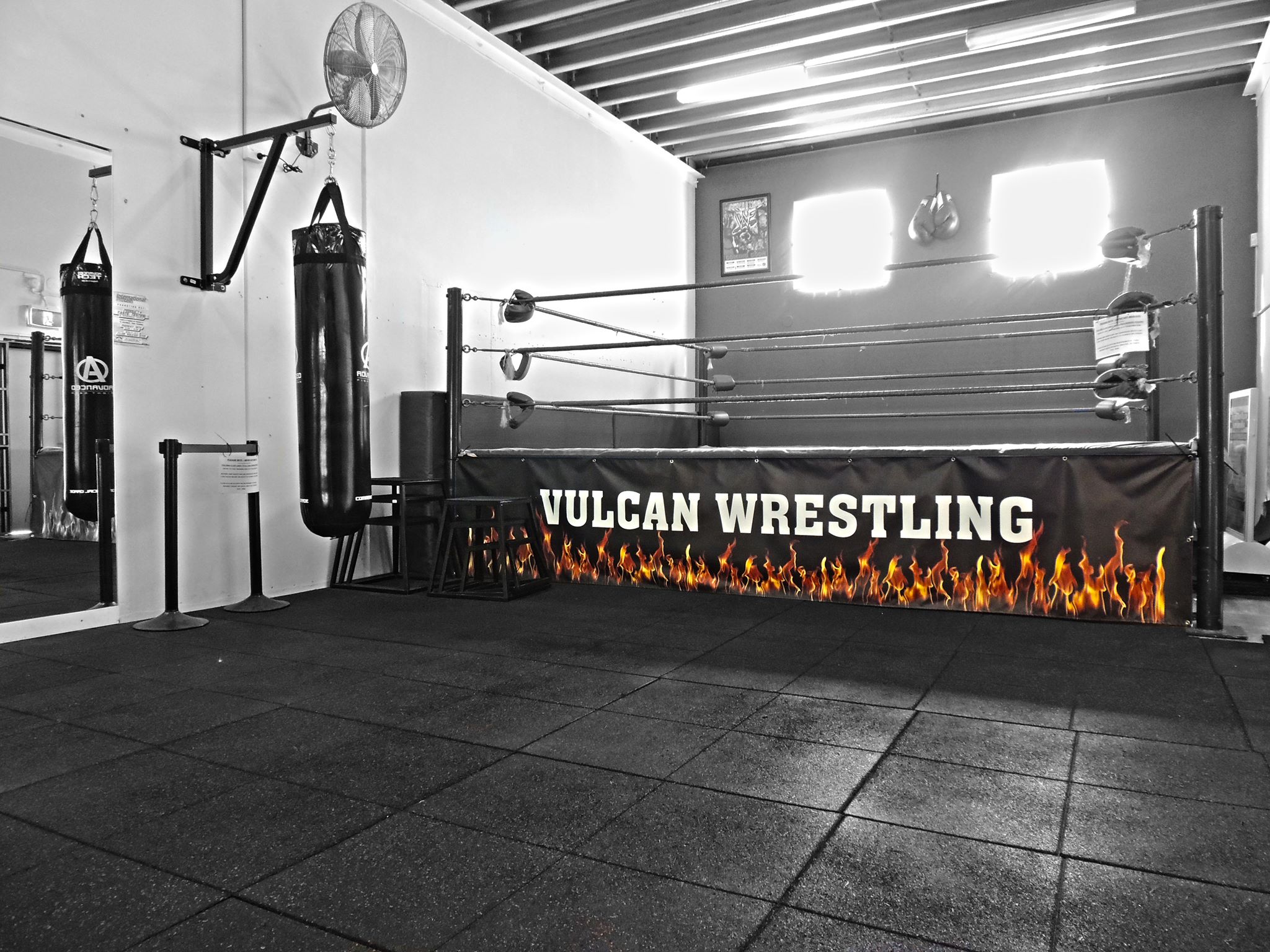 How Much Does Professional Wrestling School Cost at Clarence blog