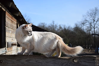 DSC_0019.JPG