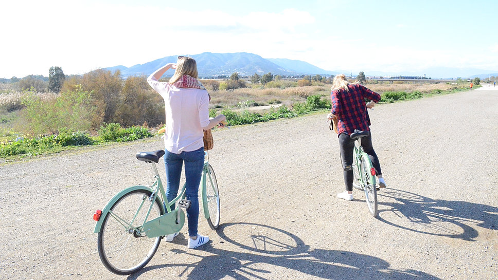 Bicicletas de montaña, carretera y paseo: la alternativa más