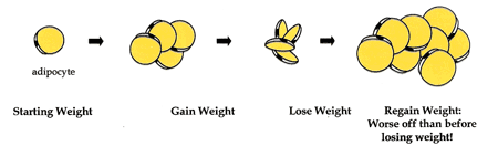 Lose fat on hips fast image 10