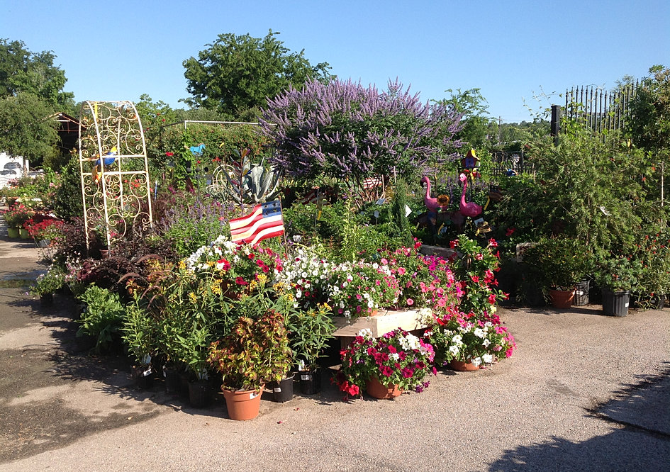 Take a Tour of The Growers Outlet