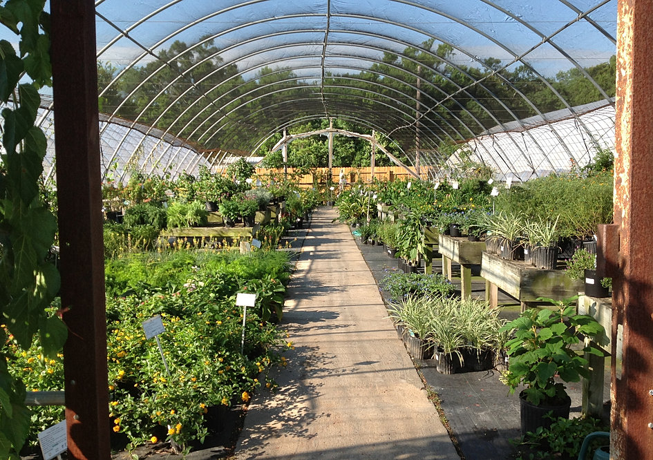 Take a Tour of The Growers Outlet