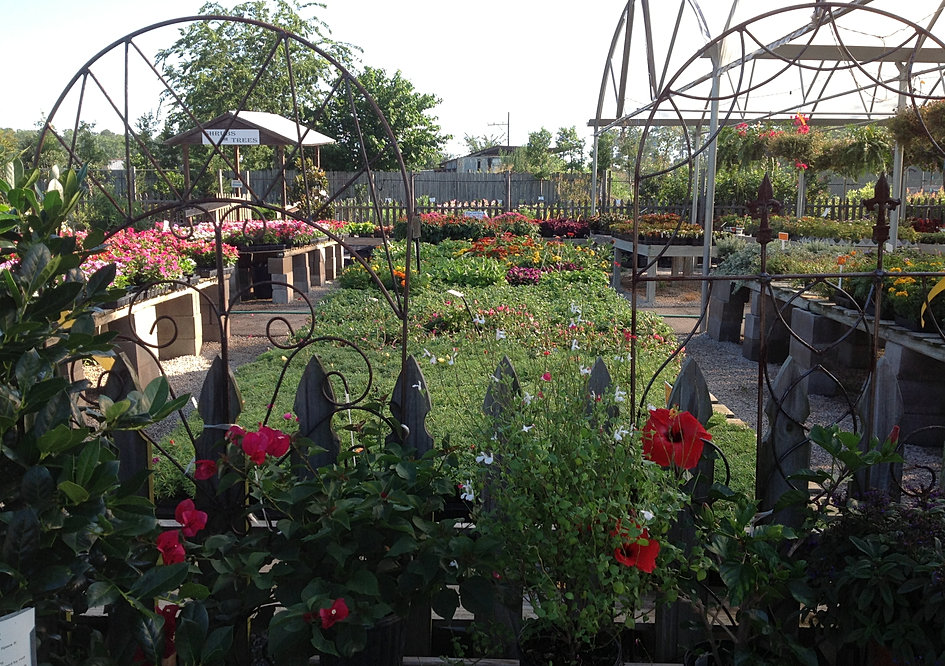 Take a Tour of The Growers Outlet