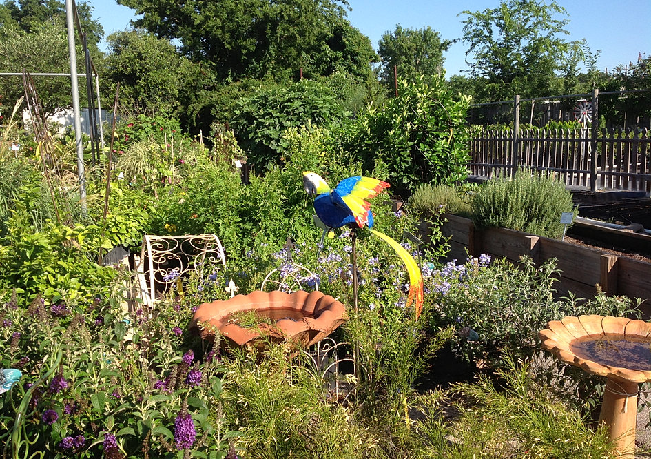 Take a Tour of The Growers Outlet