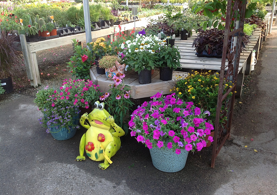 Take a Tour of The Growers Outlet