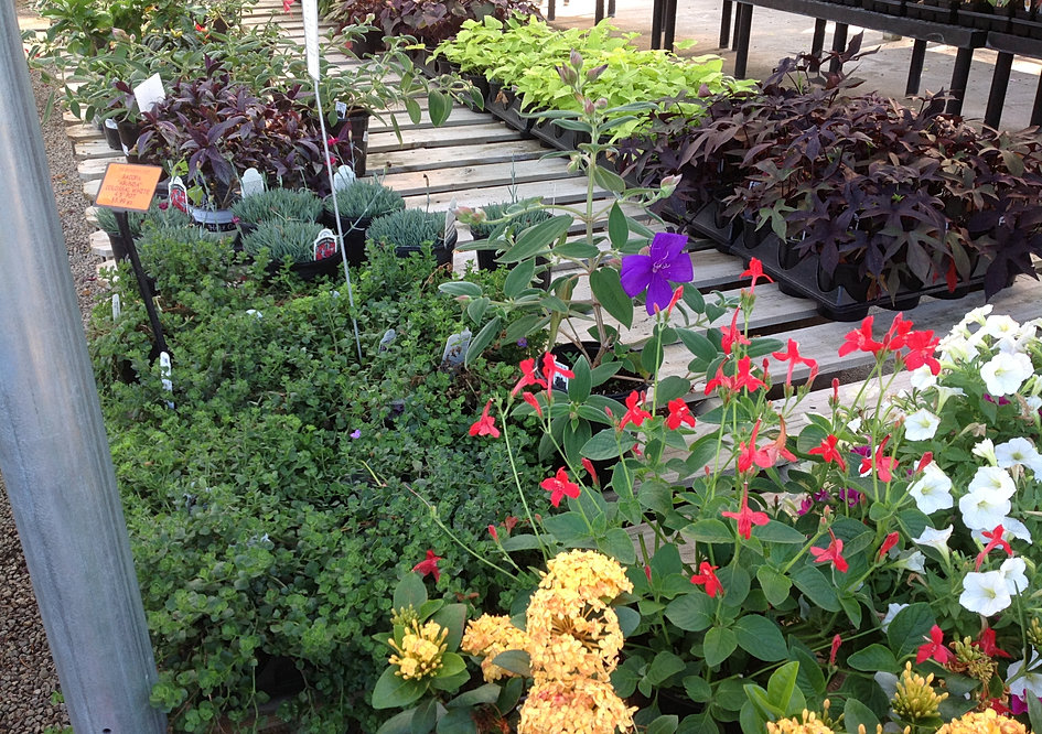 Take a Tour of The Growers Outlet