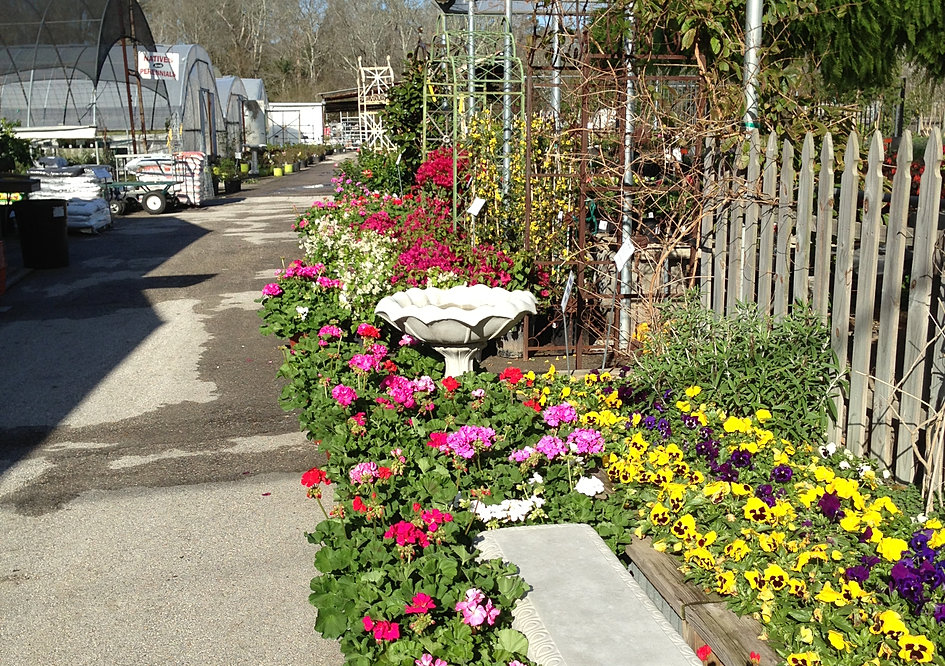 Take a Tour of The Growers Outlet