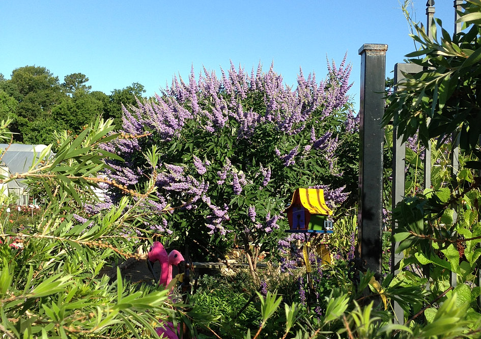 Take a Tour of The Growers Outlet