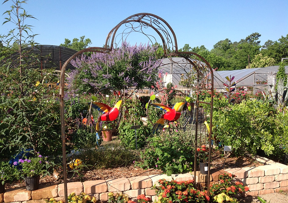 Take a Tour of The Growers Outlet