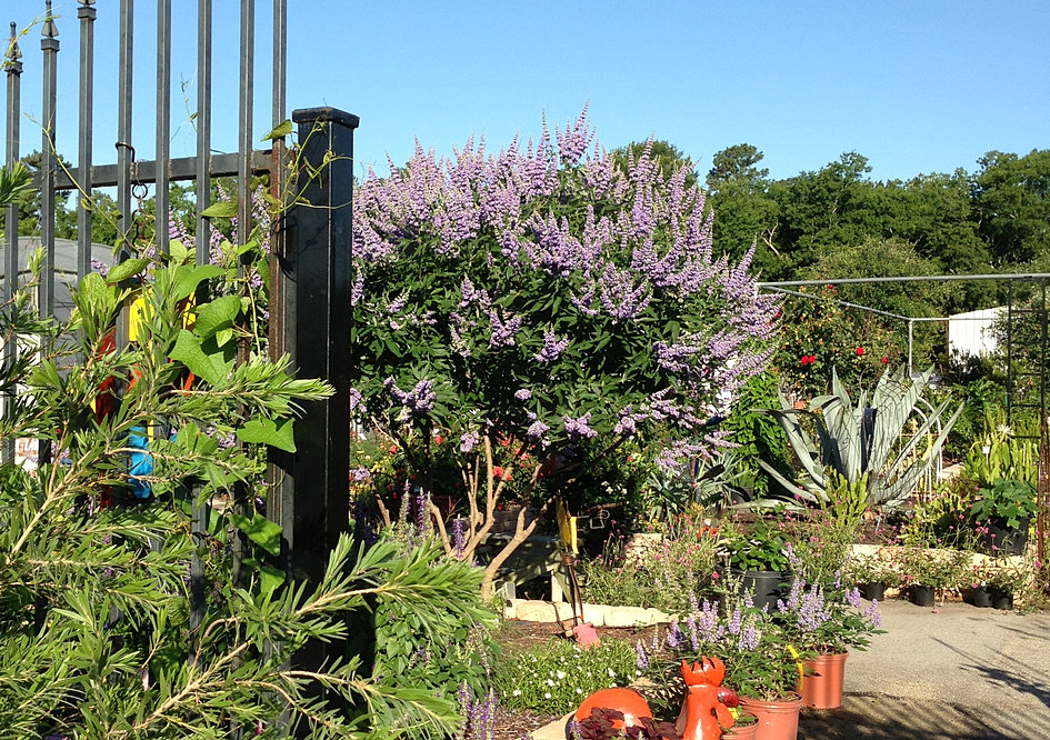 Take a Tour of The Growers Outlet